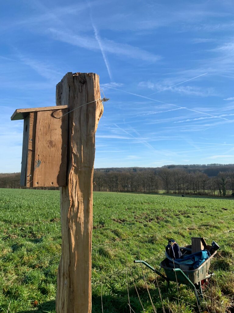 un nichoir en bois accroché sur un poteau en bois. A l'arrière plan un ciel bleau