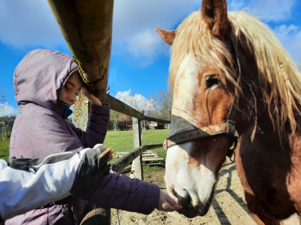 Une fille de 10 ans qui donne à manger à un cheval