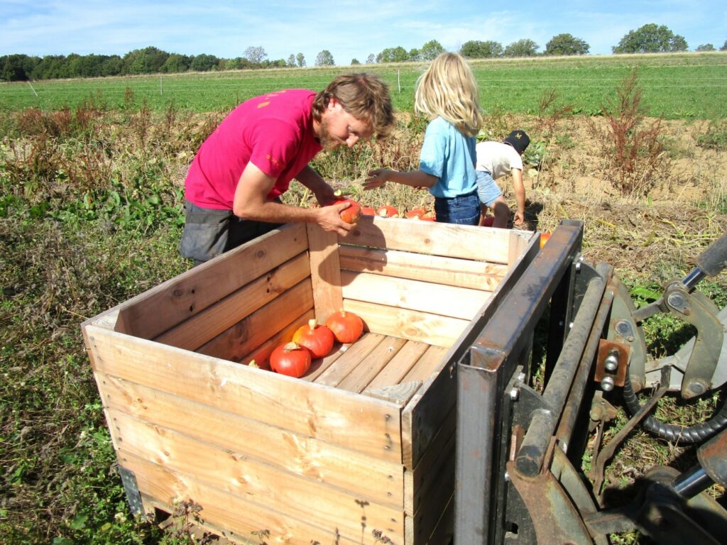 Cyril Régibeau range les potimarrons dans une grosse caisse en bois
