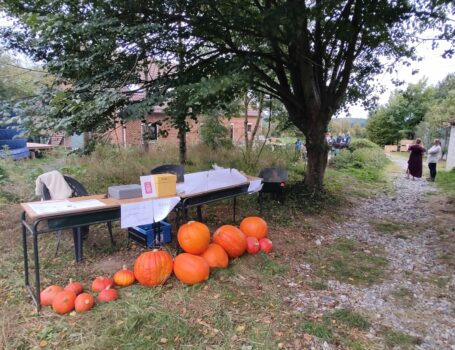 Table avec des potiron en vente