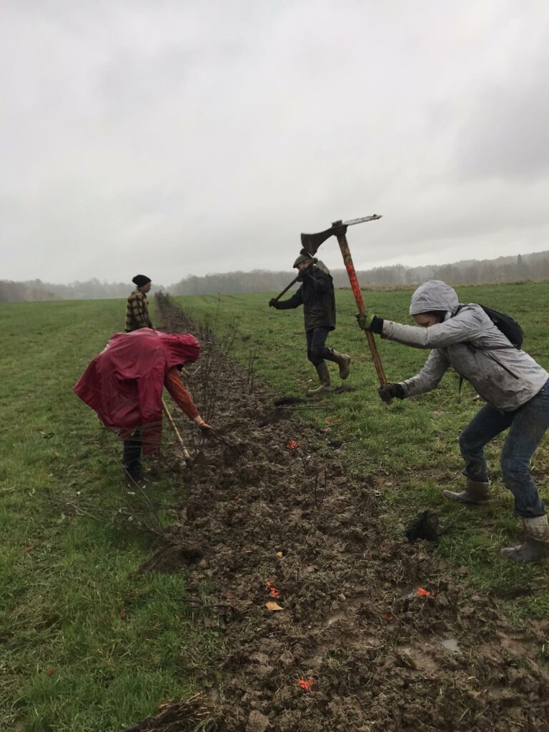 Bénévoles en train de planter les haies sous la pluie