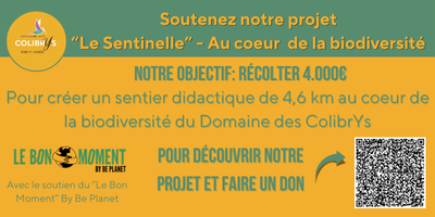 Flyers annonçant une campagne de crowdfunding pour récolter 4.000 pour le projet Le Sentinelle