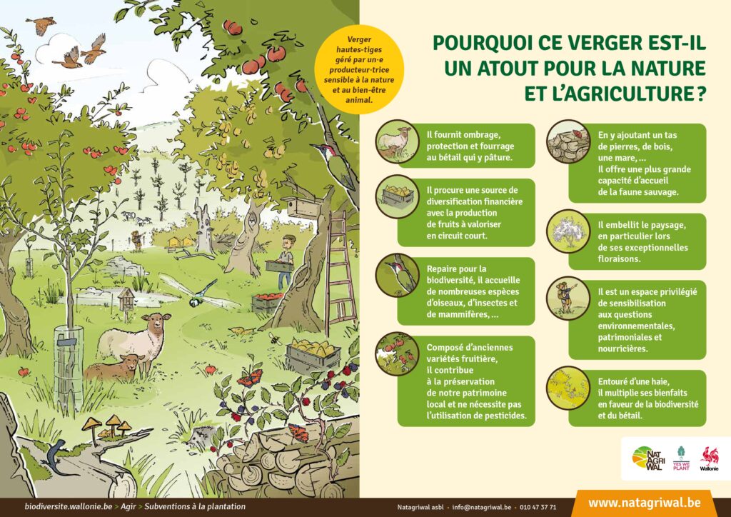 affiche explicative sur les bienfaits d'un verger pour l'agriculture