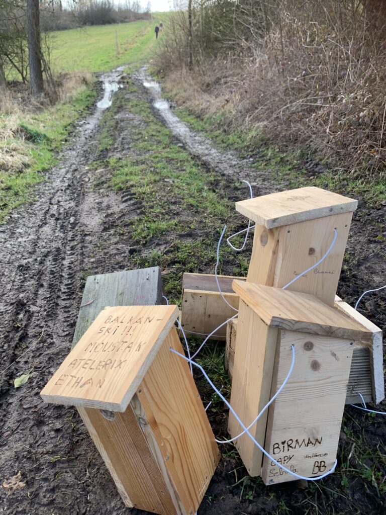 5 nichoirs en bois posés au sol sur lesquel il y a des inscriptions