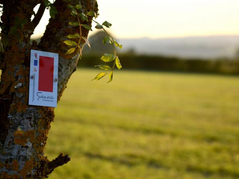 En gros plan, un balisage de promenade (rectangle rouge) accroché sur une tronc d'arbre.